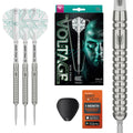 Target Rob Cross Dart Setup